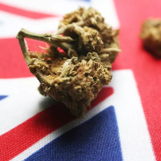 El alcalde de Londres propone un plan piloto de despenalización del cannabis 