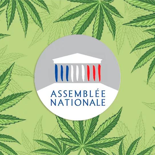 Un proyecto de legalización del cannabis llega hoy al Parlamento francés