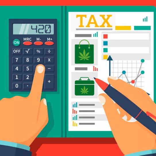 Los impuestos del cannabis recaudados en Massachusetts superan a los del alcohol