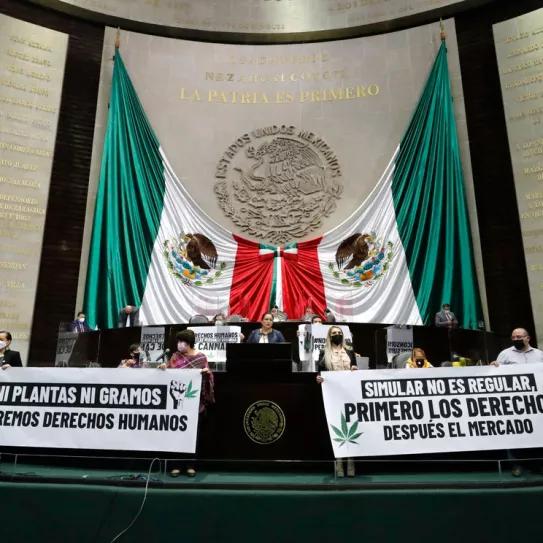 La regulación del cannabis recreativo en México se retomará en febrero