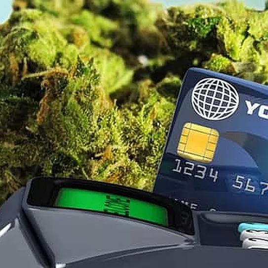 La Cámara de Representantes de EE UU aprueba proteger las operaciones bancarias del cannabis 