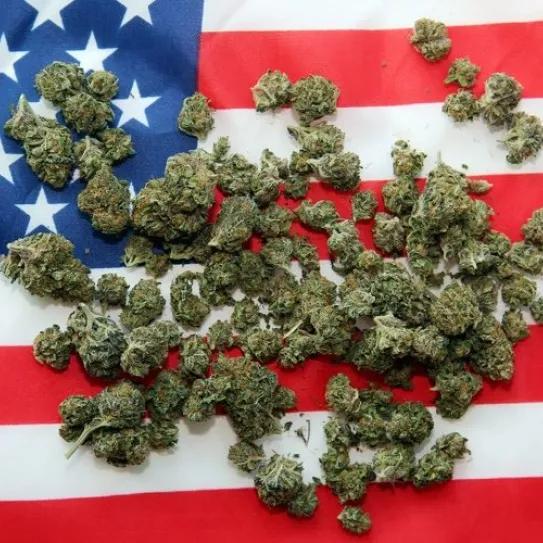 La nueva propuesta de ley para legalizar el cannabis en todo EE UU se formalizará en abril