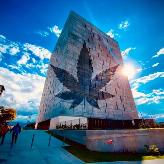 Costa Rica inicia las modificaciones de la ley de cannabis medicinal tras el veto presidencial