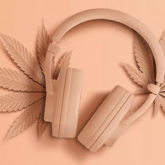 El cannabis es la droga que más casa con distintos gustos musicales según una encuesta
