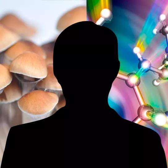 Dimite el presidente de la Junta de la Psilocibina en Oregón por sus intereses comerciales en la industria