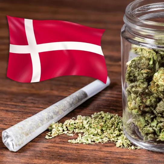 Dinamarca propone un programa piloto para vender cannabis a adultos
