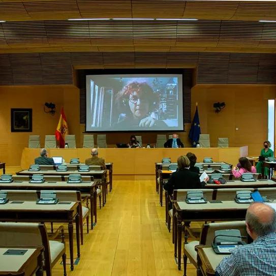 La Subcomisión del cannabis medicinal llega a su ecuador 