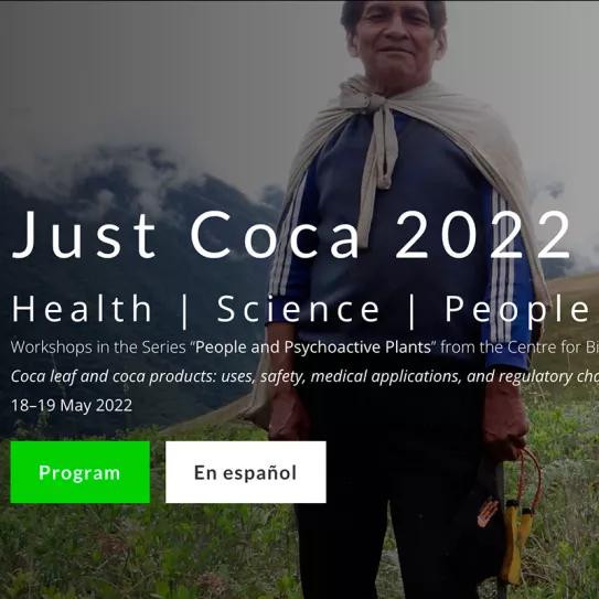 Los expertos hablan de los múltiples usos de la coca 