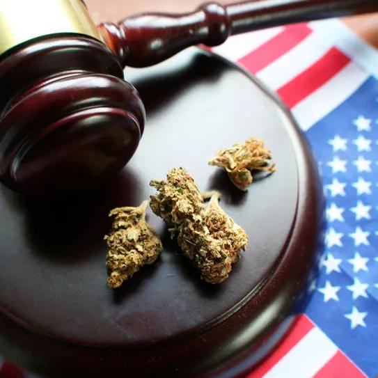El cannabinoide Delta-8-THC es declarado legal en EEUU