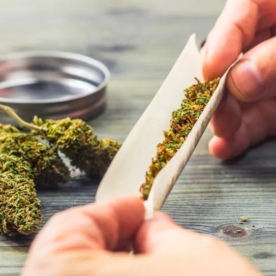 El Parlamento alemán presiona para que la legalización en esté lista este año