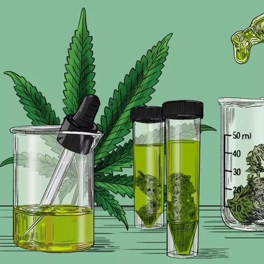 La autoridad alimentaria europea paraliza las autorizaciones del CBD 