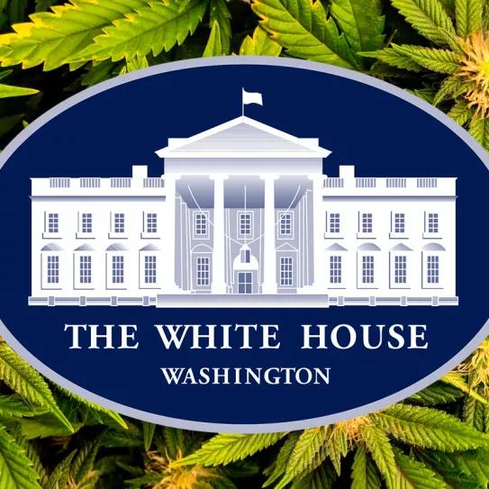 La Casa Blanca sigue poniendo pegas a los trabajadores que usan cannabis