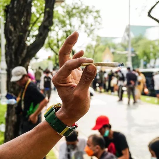 Así ha sido el primer día de legalización del cannabis en Tailandia Foto: Chayanit Itthipongmaetee / Cocos Bangkok