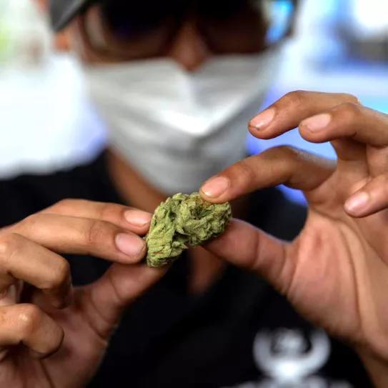 Tailandia ajusta la ley tras los primeros días de despenalización 