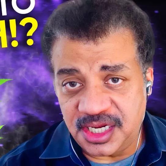 ¿Cuantas especies psiquedélicas existen sin que las conozcamos?