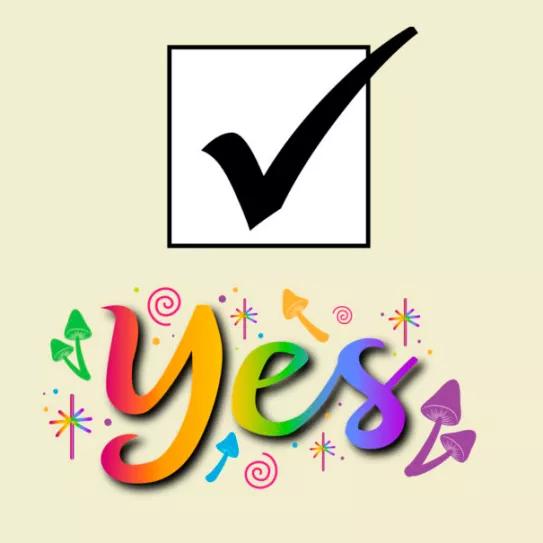 Colorado votará para legalizar los psiquedélicos en noviembre