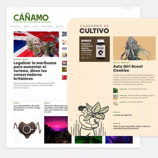 Cáñamo estrena su nueva web