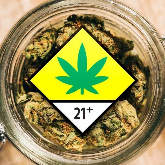 Legalizar el cannabis puede aumentar el consumo en adultos, pero no en adolescentes