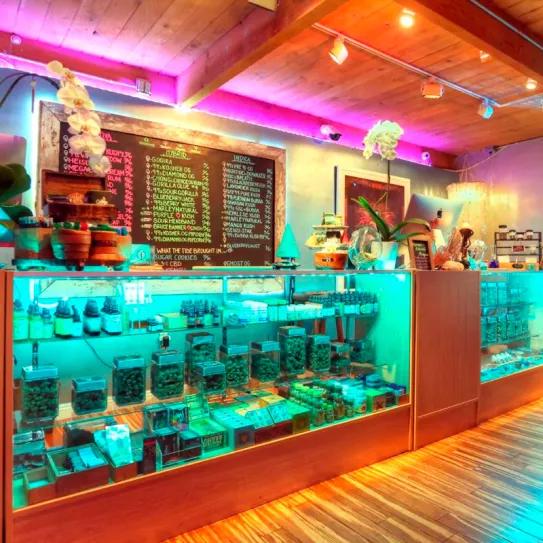 Pillan a la nuera de Joe Biden comprando marihuana protegida por el servicio secreto 