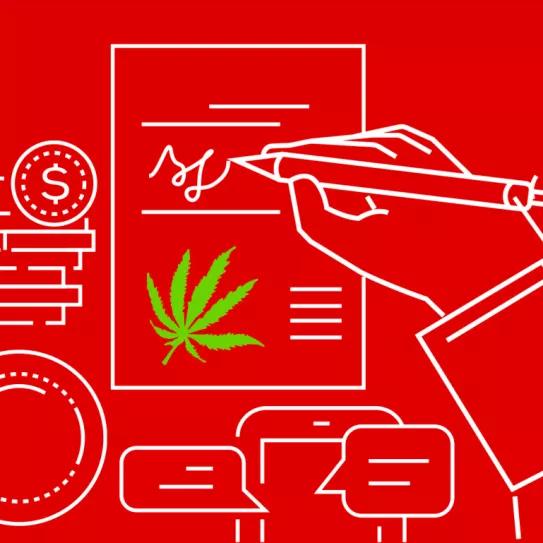 Canadá inicia la revisión de la ley que legalizó el cannabis