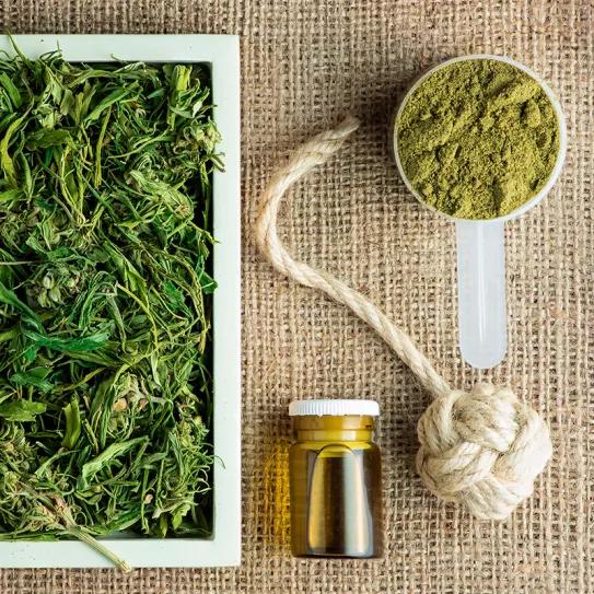 La economía del cáñamo en Europa llama la atención de EE UU