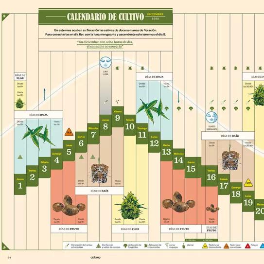 Calendario biodinamico diciembre del 2022