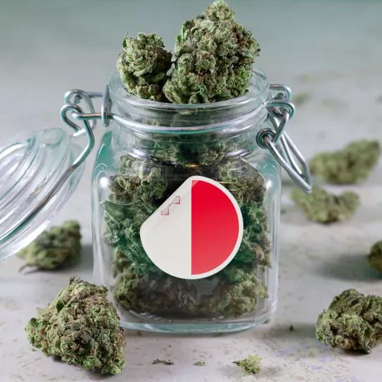Alertan de que los clubs de cannabis en Malta podrían abrirse a intereses privados