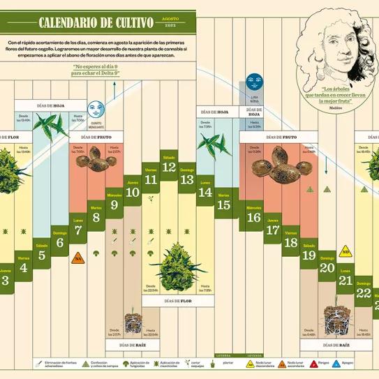 Calendario biodinámico Cañamo 308 Agosto 2023