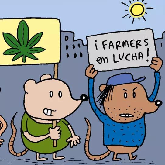 Legalize it! Abarrots