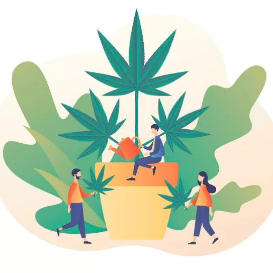 Cultivo compartido