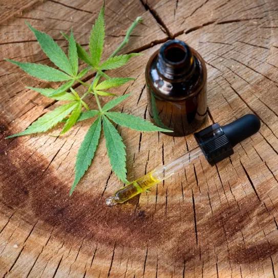 Las mejores flores de CBD en España son de Gorilla Grillz