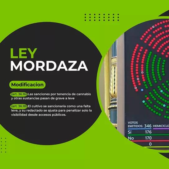 El Congreso inició el trámite para modificar la Ley Mordaza