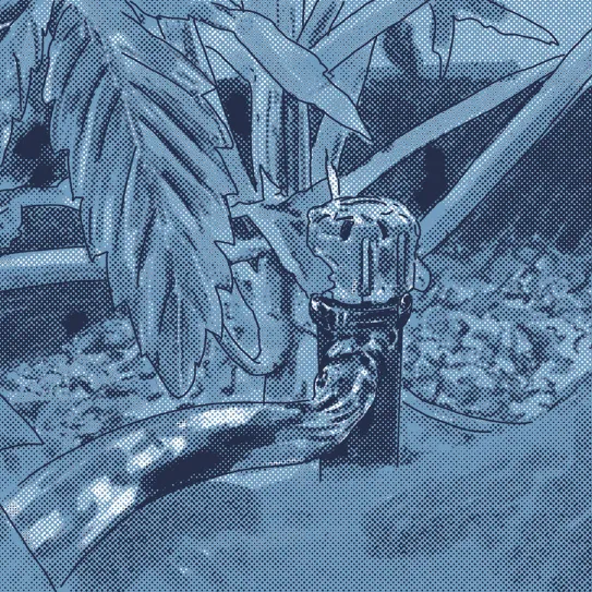 Riego automático en interior 