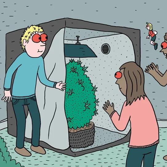 Diez pasos para montar el primer cultivo interior 