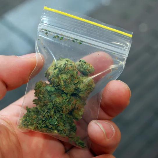 En Brasil, un usuario de cannabis denunció a un traficante por estafa