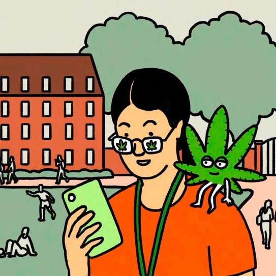 En California más educación implica más uso de cannabis y menos cigarrillos