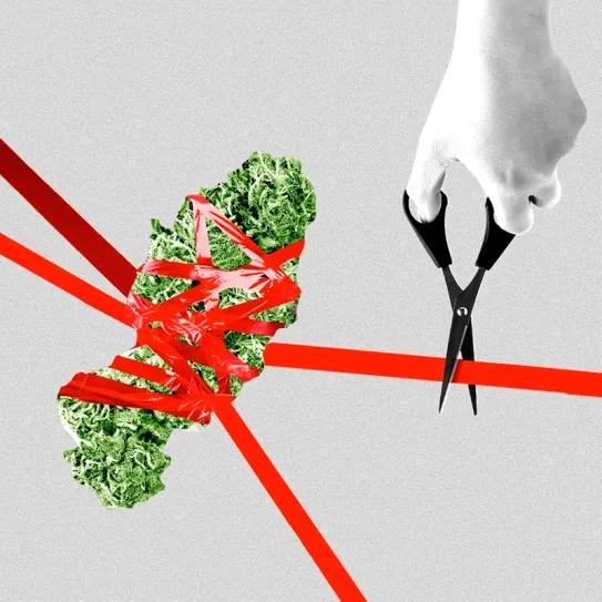 La reclasificación federal del cannabis es respaldada por Hawái