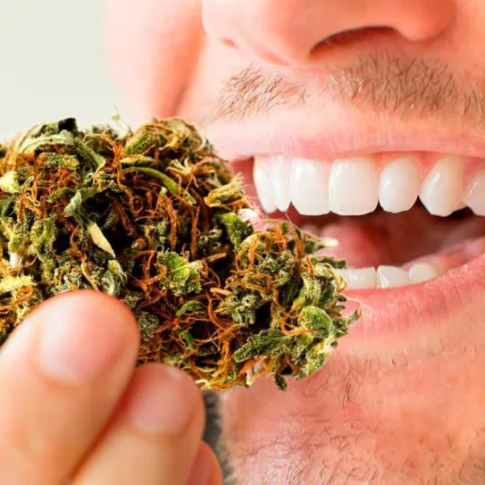 Siete formas de usar cannabis sin recurrir a la combustión