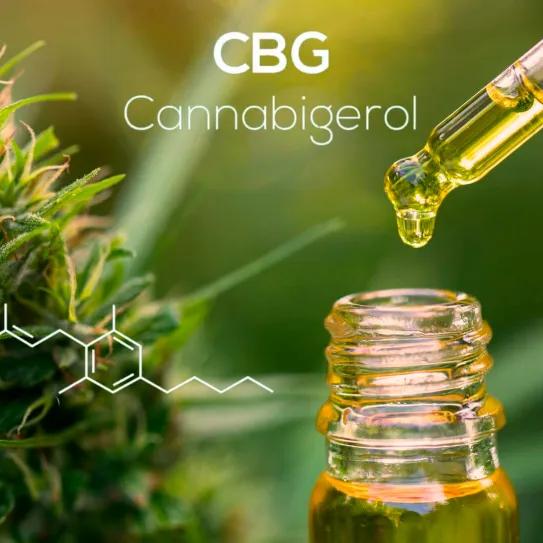 El CBG apunta a buena tolerabilidad y salud en la vejez