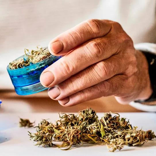 Adultos mayores que usan cannabis no muestran déficit cognitivo