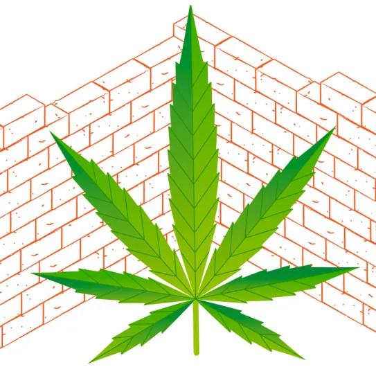 Hempcrete: soluciones ecológicas para un futuro sostenible