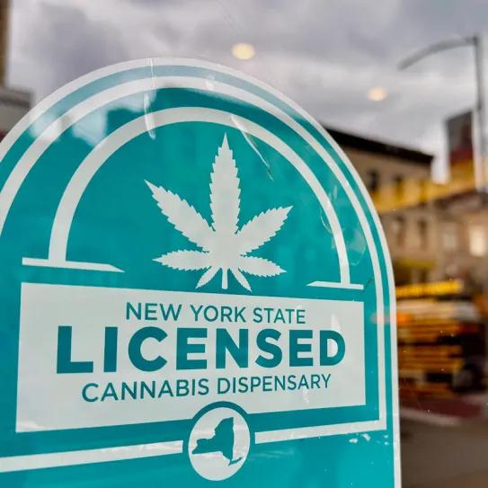 Cae 17% el precio del cannabis legal en Nueva York