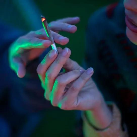 Salas de consumo: laboratorios sociales del cannabis legal