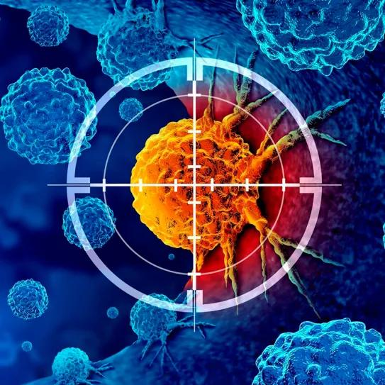 CBD y THC combinados frenan células de cáncer de ovario 