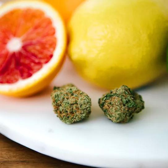 Imagen sin descripción