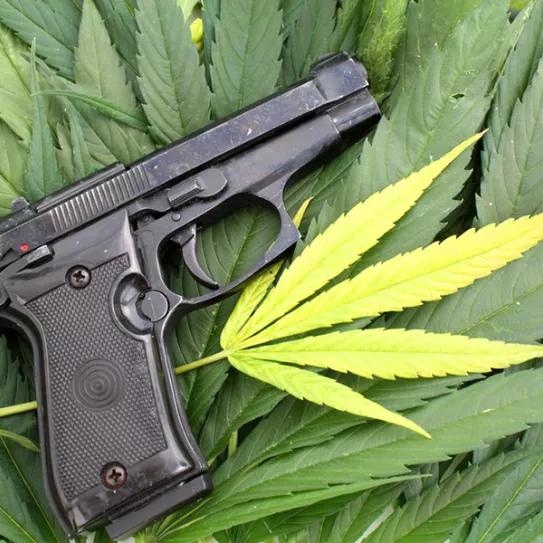 Imagen sin descripción