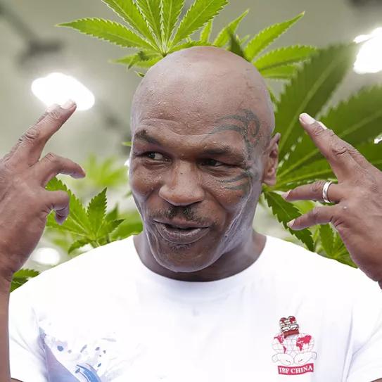 Imagen sin descripción