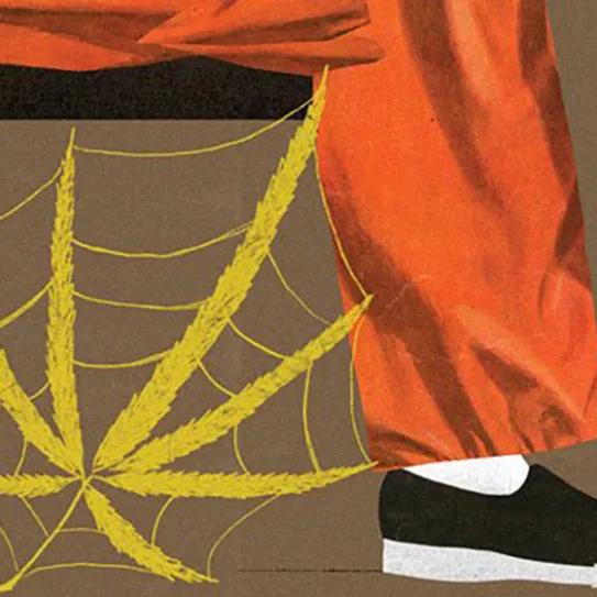 Imagen sin descripción