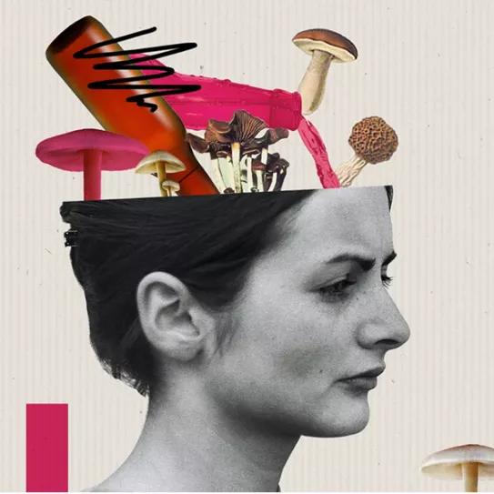 Imagen sin descripción