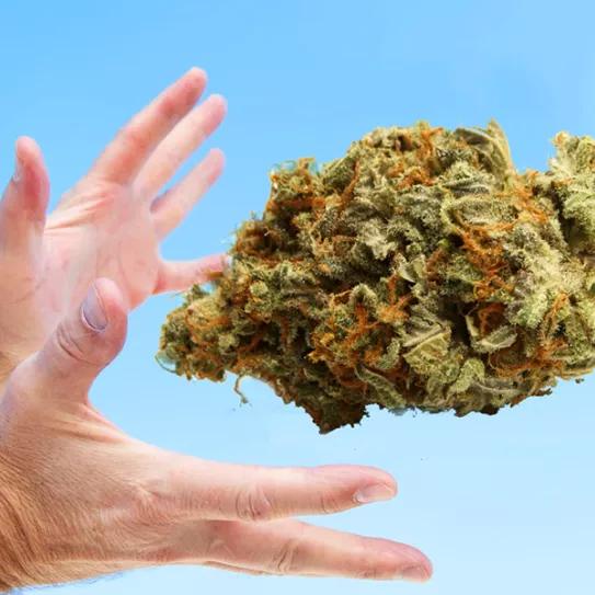 Imagen sin descripción